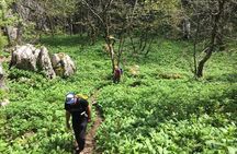 1 day White Rocks Wilderness - Vihoraski trail Hike from Zagreb