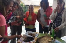 Guided Truffle Hunt Istria