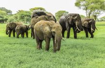 2 day Tour to Hell's Gate, Lake Naivasha & Crescent Island - Daily Departures