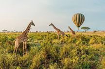 5 Days - Tanzania Budget Camping Safari