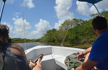 Lamanai Temples, River Cruise, Howler Monkeys, Birdwatching.