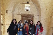 Alexandria Library & Pompeii's Pillar Montazah Palace Citadel of Qaitbay