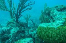 Full-Day Sailing Trip to Mujeres Island from Playa del Carmen