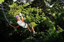 Canopy Tour In Tamarindo Beach