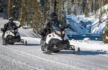 Yellowstone Old Faithful Full-Day Snowmobile Tour from Jackson Hole