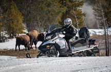 Yellowstone Old Faithful Full-Day Snowmobile Tour from Jackson Hole