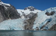 Kenai Fjords Cruise