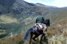 Private Half-Day Cable Car and Horseback Tour Above Quito