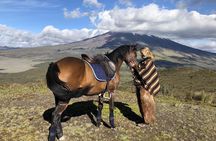 Horseback Ride & Hike in Cotopaxi Volcano Day Trip from Quito