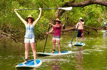 Byron Stand Up Paddle Nature Tour