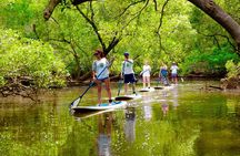 Byron Stand Up Paddle Nature Tour