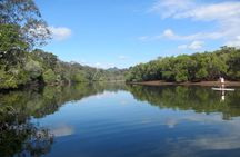 Byron Stand Up Paddle Nature Tour