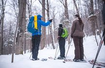 Skiing (Hok Ski) Excursion in Jacques-Cartier National Park