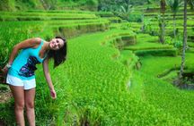 Beauty Of West Bali Tour (Private and All Inclusive)