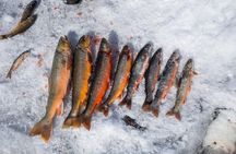 Ice Fishing and Husky