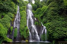 Bali Best Waterfalls Tour : Sekumpul and Banyumala