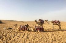 Dubai Desert Safari Adventure Experience