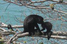 Chagres River Kayak Expedition From Panama City