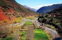 Atlas Mountains & 5 Valleys Tour from Marrakech - All inclusive -
