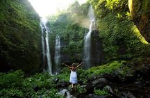 Gitgit and Alingaling Waterfalls Private Group Tour - Full Day