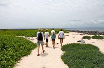 Seymour North Island & Las Bachas Full-Day Tour