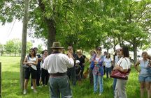 Estancia Gaucho Day at Buenos Aires