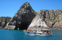 Full-Day Arraial do Cabo Tour with Lunch from Rio de Janeiro