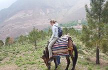 Excursion to The Atlas Mountain from Marrakech 