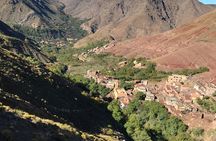 Excursion to The Atlas Mountain from Marrakech 