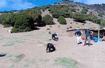 Trekking in Morocco / 3 Days Valley Trek in the Atlas Mountain & Waterfalls
