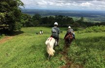 Romantic Scape to Blue Hideaway by Horse