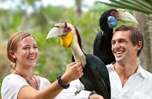  Private Tour Bali Bird Park And Ubud Tour