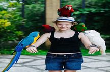  Private Tour Bali Bird Park And Ubud Tour