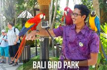  Private Tour Bali Bird Park And Ubud Tour