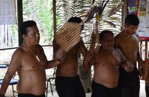 Tucandeira Ants Indigenous Ritual