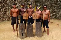 Tucandeira Ants Indigenous Ritual