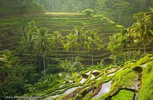 Discover Bali in 2 Days Private Tour Package