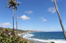 Beautiful Coastal Sightseeing Tour of Barbados