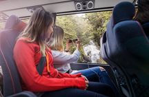 Milford Sound Premium Coach and Cruise with Lunch from Te Anau