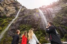 Milford Sound Nature Cruise with Southern Discoveries