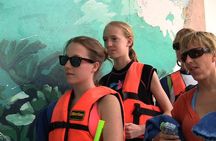 Turtle Snorkeling Adventure from Cancun