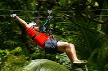 Treetop Canopy Adventure