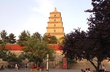 4 Hours Xian Tour of City Wall and Big Wild Goose Pagoda