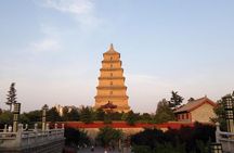 Half-Day Private Tour of Xian Museum and Big Wild Goose Pagoda
