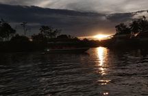 Klias Wildlife Safari River Cruise from Kota Kinabalu