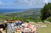 Explore and Discover Barbados By Land & By Sea 