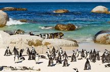 Cape Town Private Tour: Table Mountain Car & Cape Point Penguins