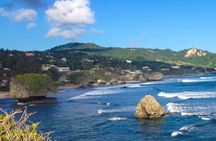 Half-Day Barbados Tour Harrisons Cave Hunte's Garden and Bathsheba 