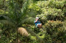 6 in 1 RainForest Adventure From San Jose