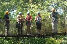 Zipline Tour in Braulio Carrillo National Park From San José